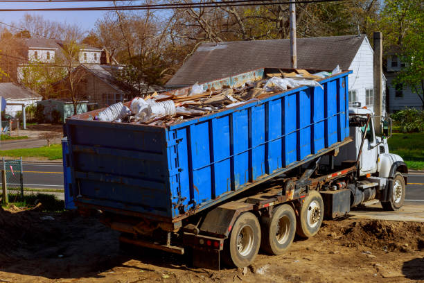 Best Shed Removal  in Orion, IL